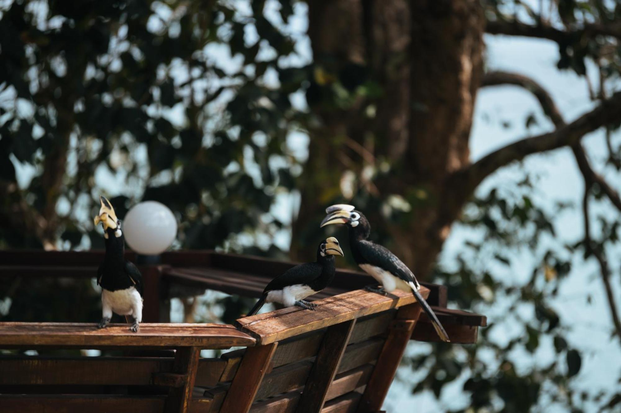 Phayamas Private Beach Resort And Island Brew - Adults Only Koh Phayam Buitenkant foto