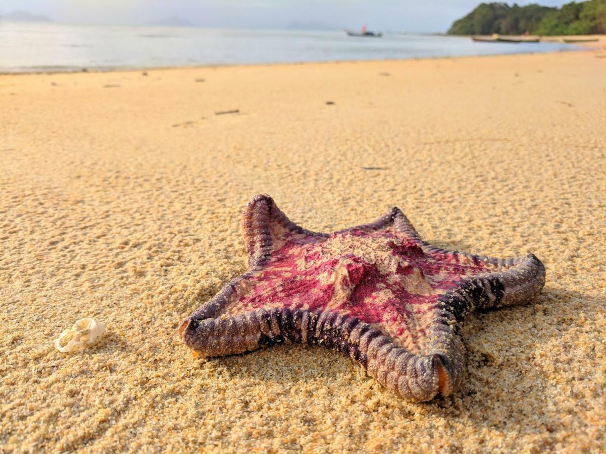 Phayamas Private Beach Resort And Island Brew - Adults Only Koh Phayam Buitenkant foto
